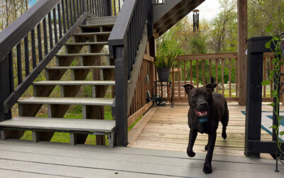 keep your face toward the sunshine