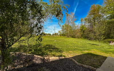 first of the season snake battle