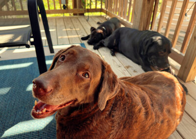 deck chillin' week #18