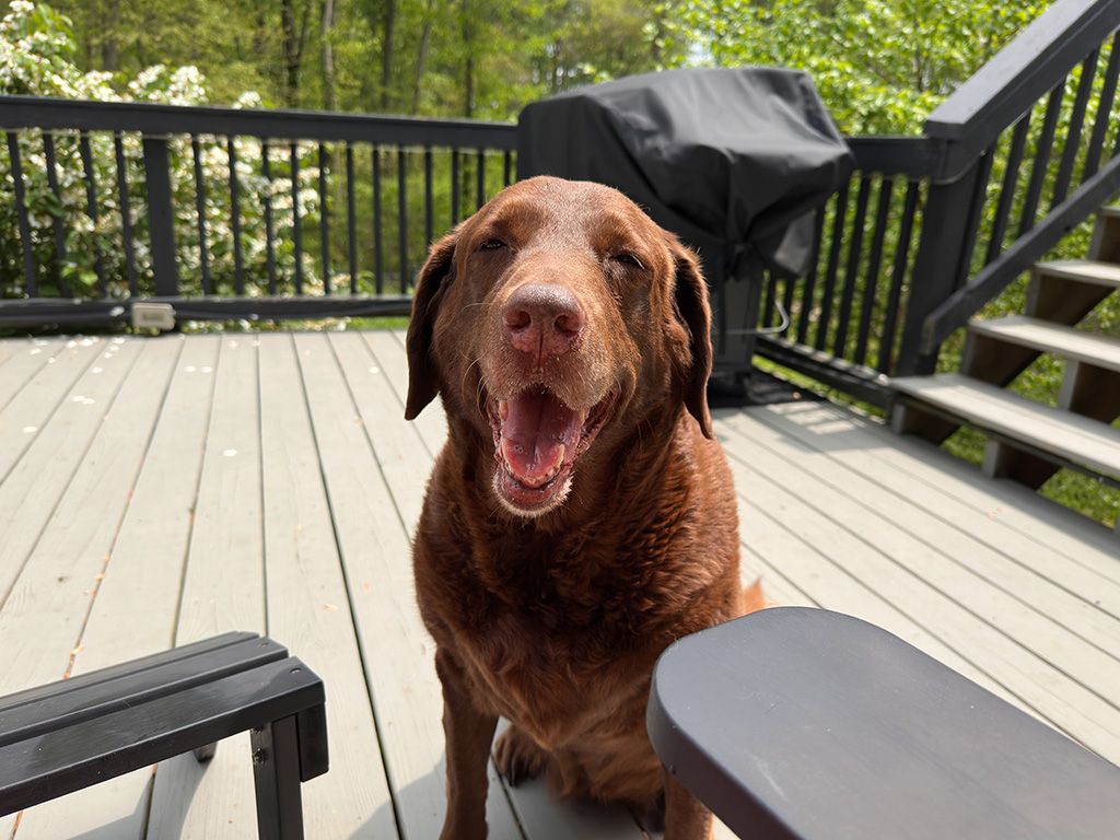 Dharma smiling for the shot.