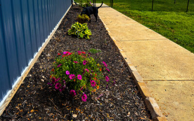 the rain has stopped so now i can mow