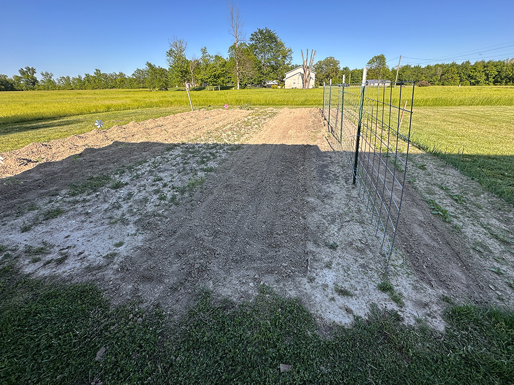 early garden