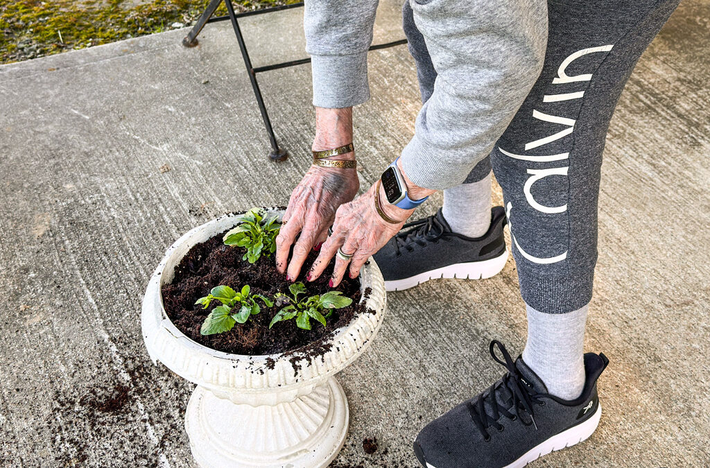 setting the stage for a vibrant season of growth and color