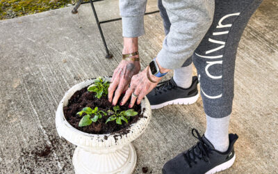 setting the stage for a vibrant season of growth and color