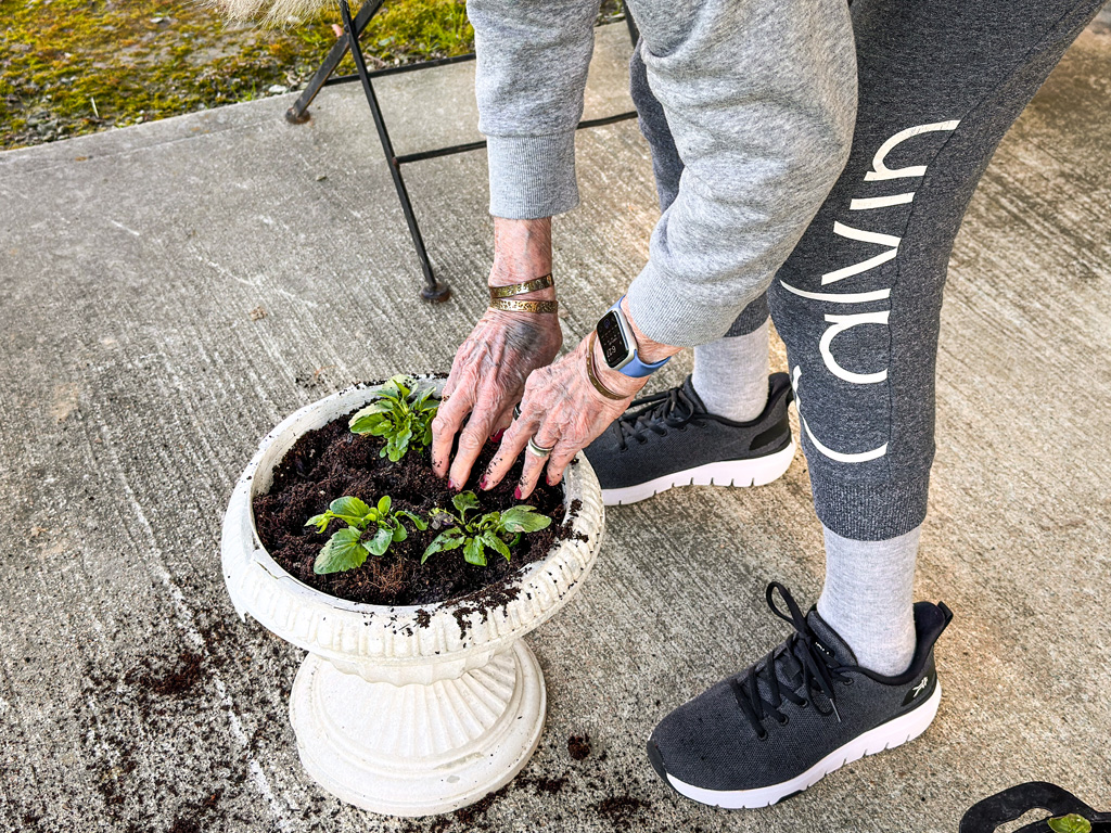 planting flowers