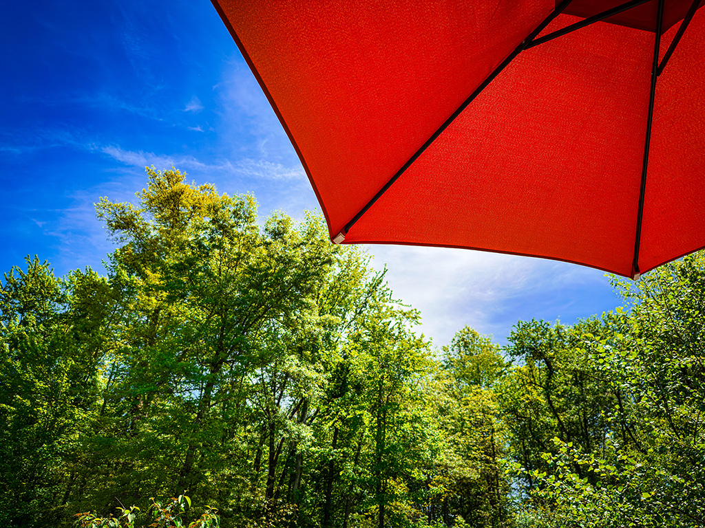 umbrella in the sun
