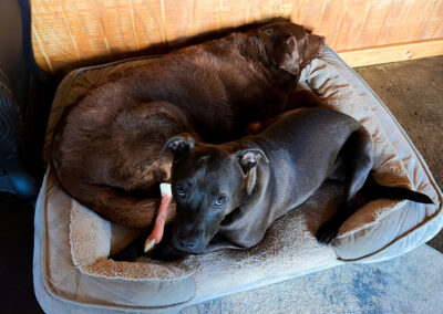 Babysitter Hugo: week #20