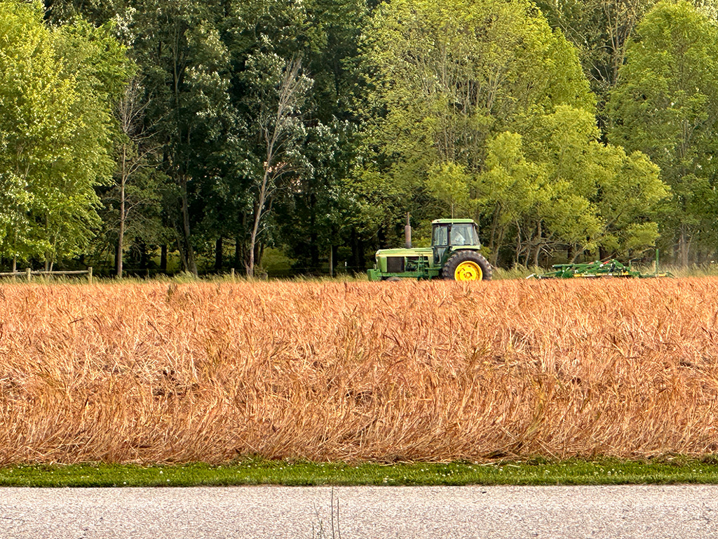 mr farmer