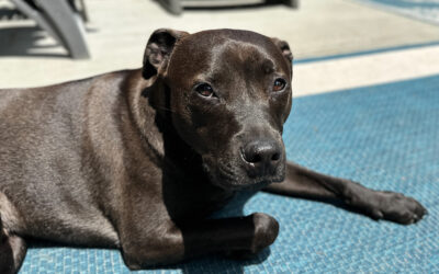 job prerequisite: few people can pronounce your name