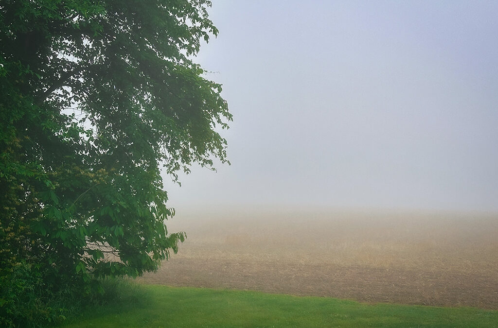 rural town swallowed by thick fog that obscures the world