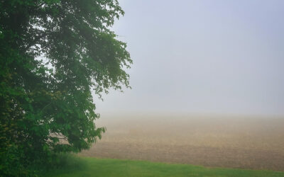 rural town swallowed by thick fog that obscures the world