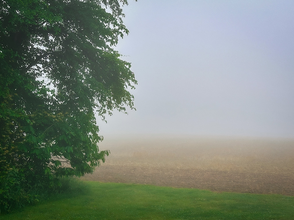 fog over Indiana farm
