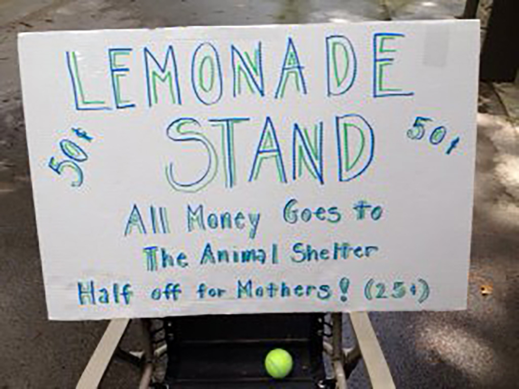 lemonade stand sign