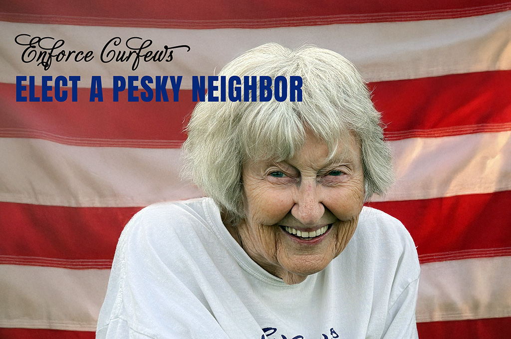 elect my mom