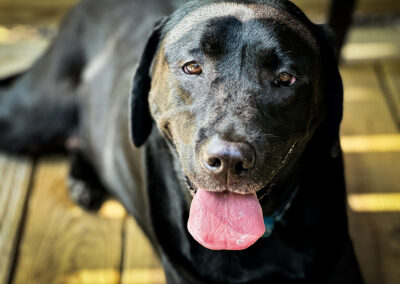 Just relax: week #25