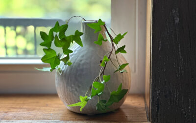 representing others that don’t support your viewpoint