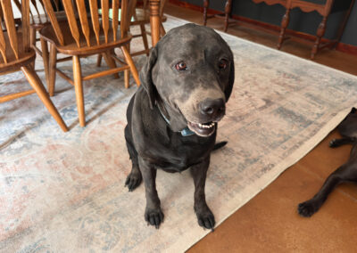 Evidence of digging: week #24