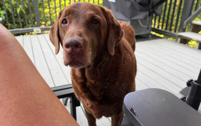 it’s not just a difference in perception, is it?