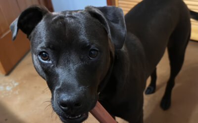 do people not have to work or take care of families anymore?