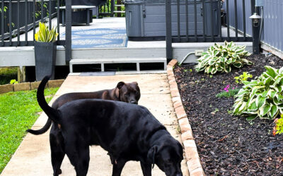 i’m not the only one that hates FB has turned so political