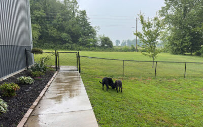 may we at least have a peaceful father’s day?