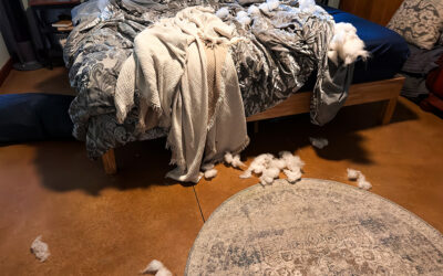 hee haw had it right all those years ago