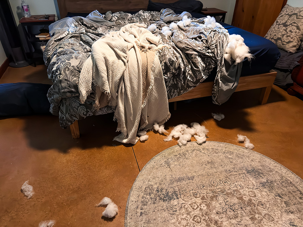 Hugo ate the bedspread