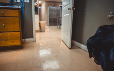 whatever happened to the little guy… it was bad