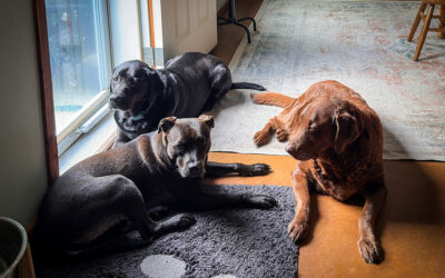 we don’t know what we don’t know