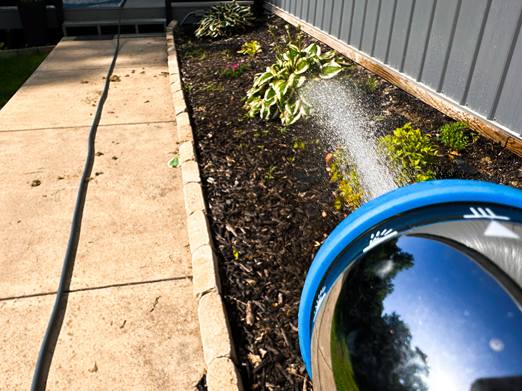 watering flowers