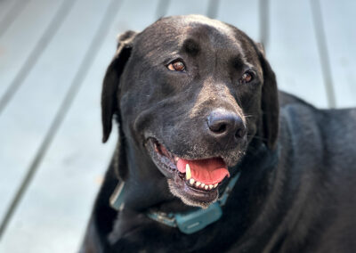 Merida smiles: week #27