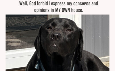 my unpopular opinion and it’s political