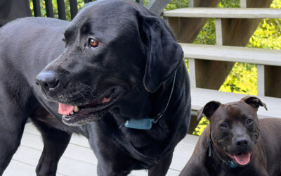 my first time mowing with a 0-turn