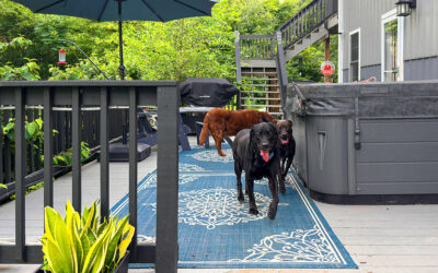 something scary is in the woods