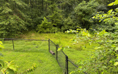 i’m an expert at mowing between raindrops