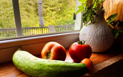 it’s that time of year: fat chicks diet to begin shortly