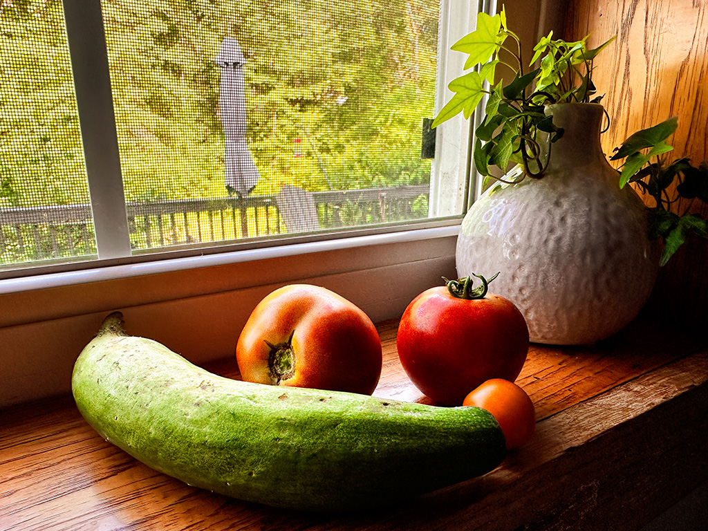 veggies in the window