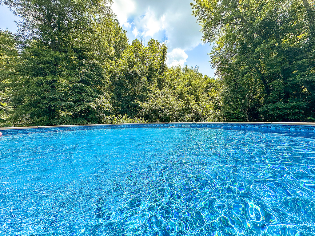 pool is clear of bugs
