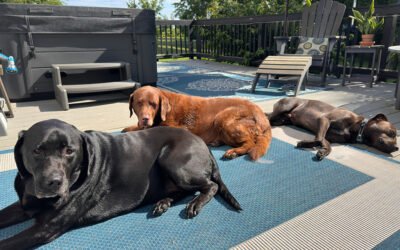 i love routines and hate surprises