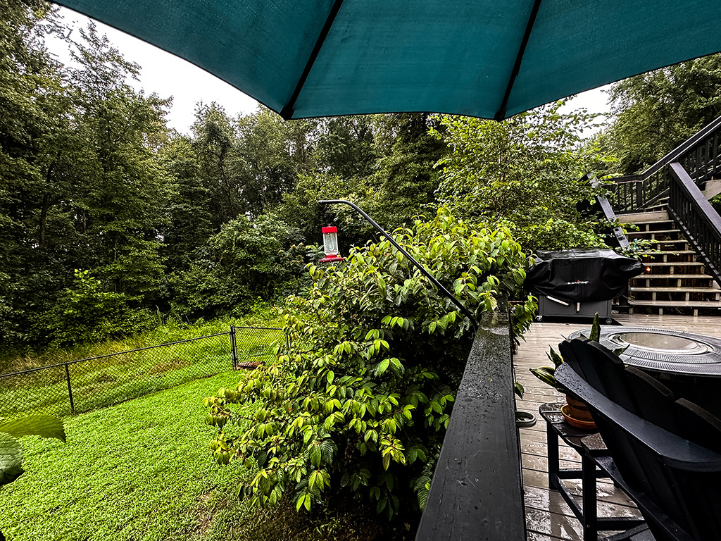 summer rain in Indiana