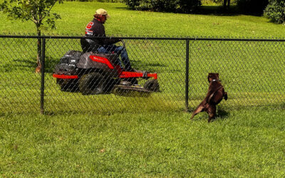 lawnmower operators will be attacked on sight