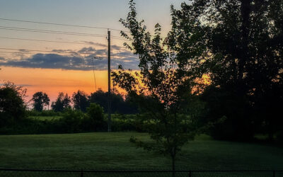 how many daily steps to reduce health risks?