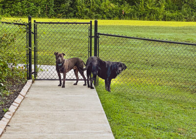 The youngsters: week #31