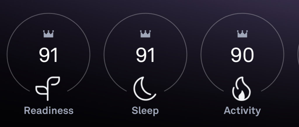 Oura ring summary stats