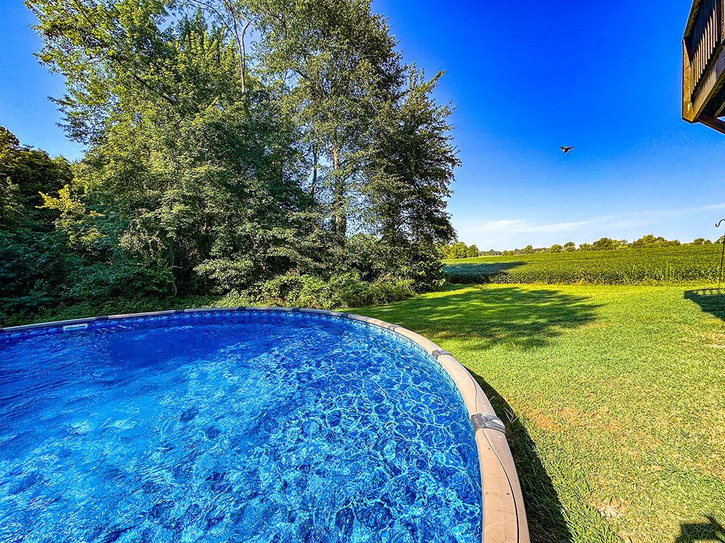 sunny day at the barndo