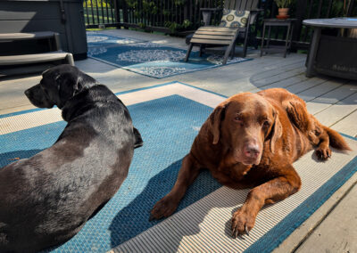 It's HOT out here: week #32