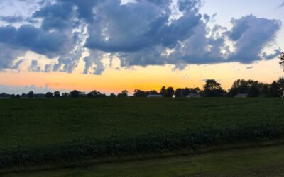 curfews, exercise, and another expense