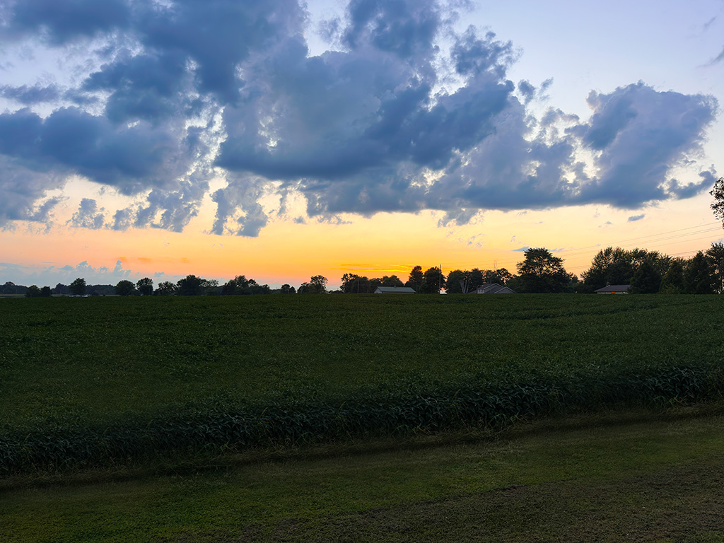 neighbors in evening