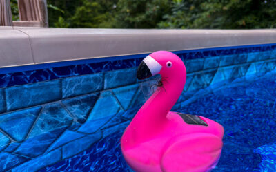 moths at night and corn flies during the day