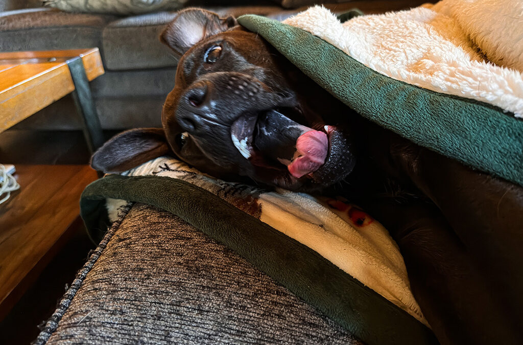 my fingers are nearly impossible to control